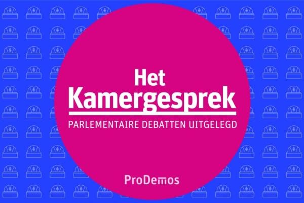 Het Kamergesprek: De rol van de Raad van State